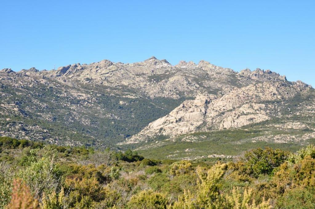 Vila Sardegna Vicino Ad Olbia "La Casa Nel Vicolo" Berchidda Exteriér fotografie