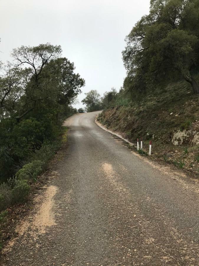 Vila Sardegna Vicino Ad Olbia "La Casa Nel Vicolo" Berchidda Exteriér fotografie
