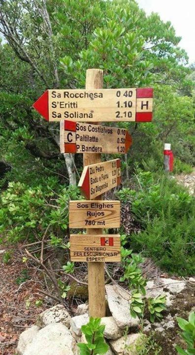 Vila Sardegna Vicino Ad Olbia "La Casa Nel Vicolo" Berchidda Exteriér fotografie